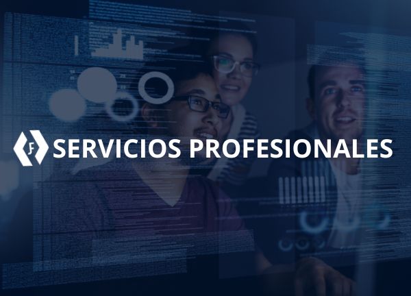 Servicios Profesionales
